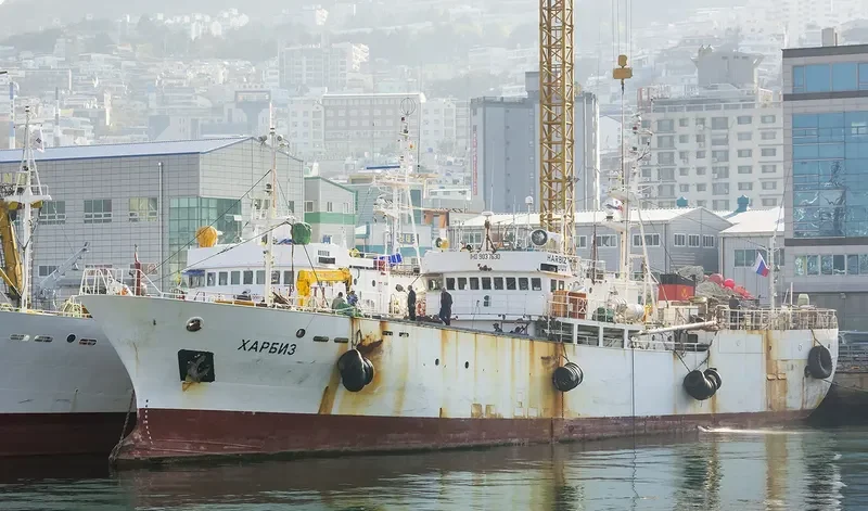 HARBIZ General Cargo IMO 9037630