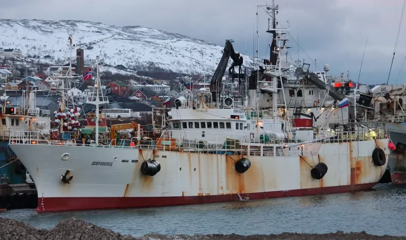 HARBIZ General Cargo IMO 9037630 photo 5