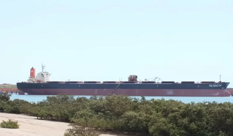 POS DEDICATOR Bulk Carrier IMO 9037719 photo 2