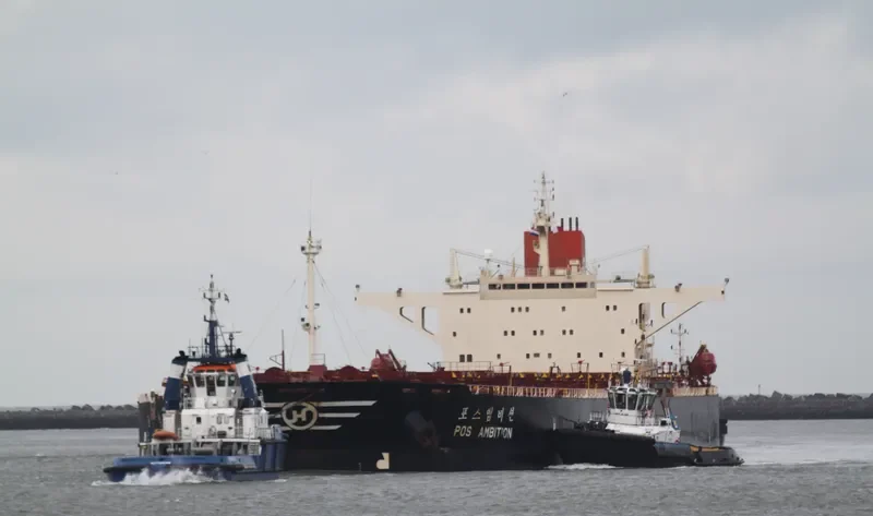 POS AMBITION Bulk Carrier IMO 9037733 photo 6