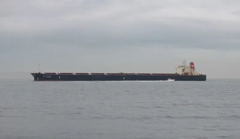 POS AMBITION Bulk Carrier IMO 9037733 photo 7