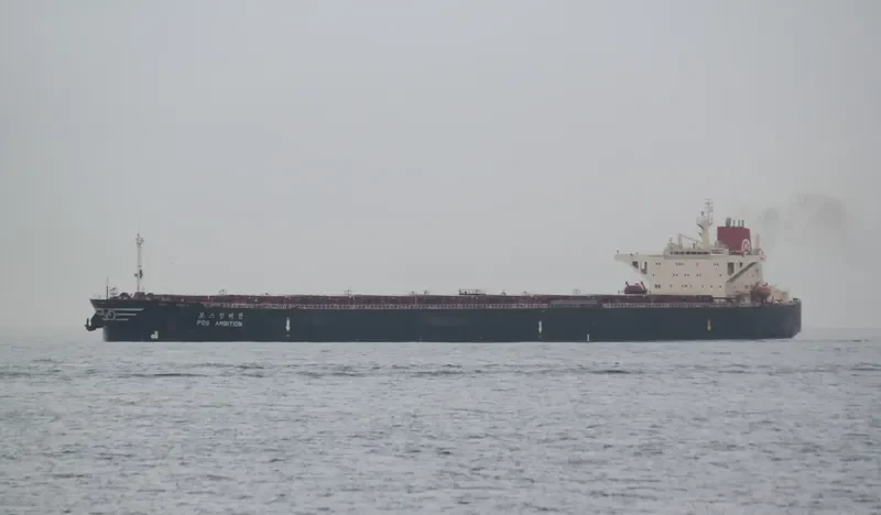 POS AMBITION Bulk Carrier IMO 9037733 photo 8