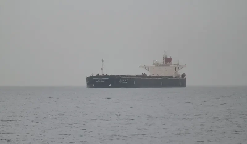 POS AMBITION Bulk Carrier IMO 9037733 photo 9