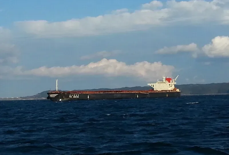 POS AMBITION Bulk Carrier IMO 9037733 photo 10