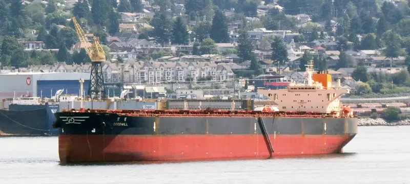 GOODWILL Bulk Carrier IMO 9037745