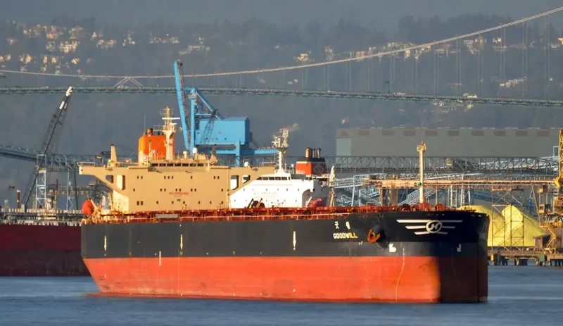 GOODWILL Bulk Carrier IMO 9037745 photo 4
