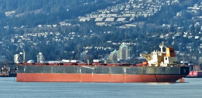 GOODWILL Bulk Carrier IMO 9037745 photo 7