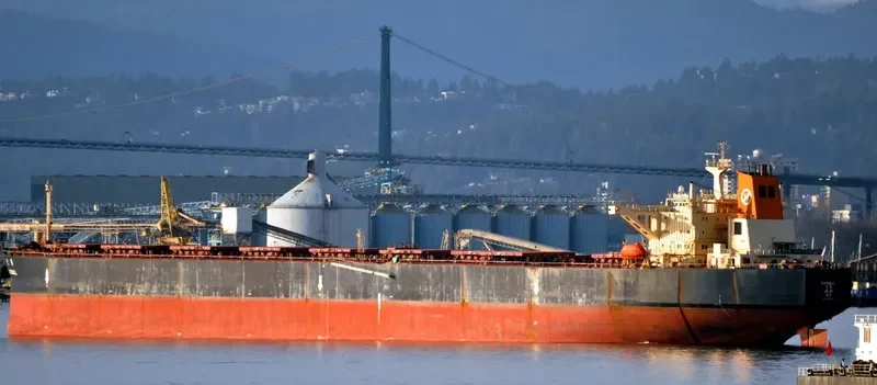GOODWILL Bulk Carrier IMO 9037745 photo 8