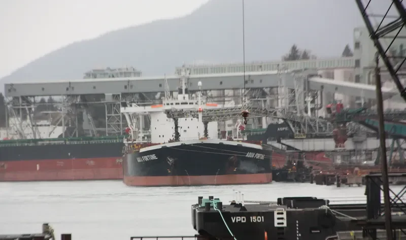 AQUA FORTUNE Bulk Carrier IMO 9037800 photo 2