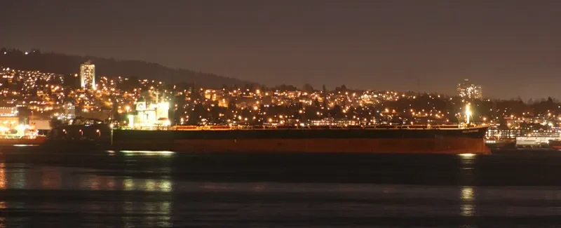 AQUA FORTUNE Bulk Carrier IMO 9037800 photo 3