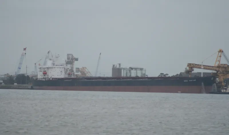AQUA FORTUNE Bulk Carrier IMO 9037800 photo 4