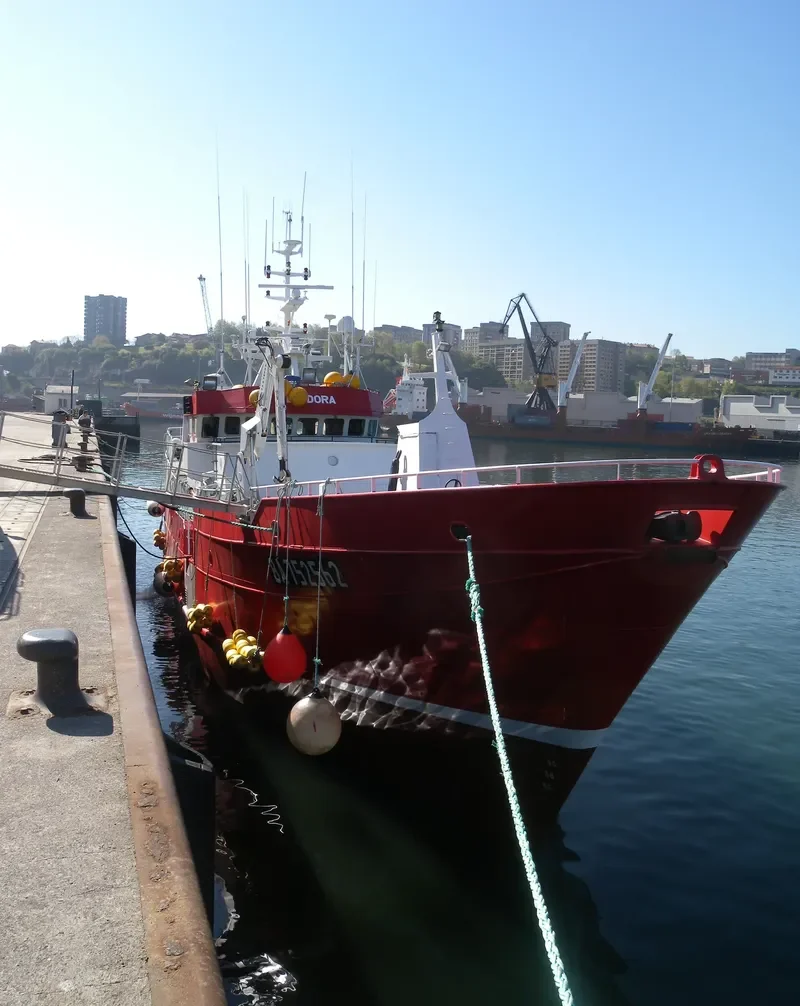 LANDORA General Cargo IMO 9037848 photo 3