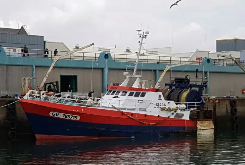 KSORA General Cargo IMO 9037874