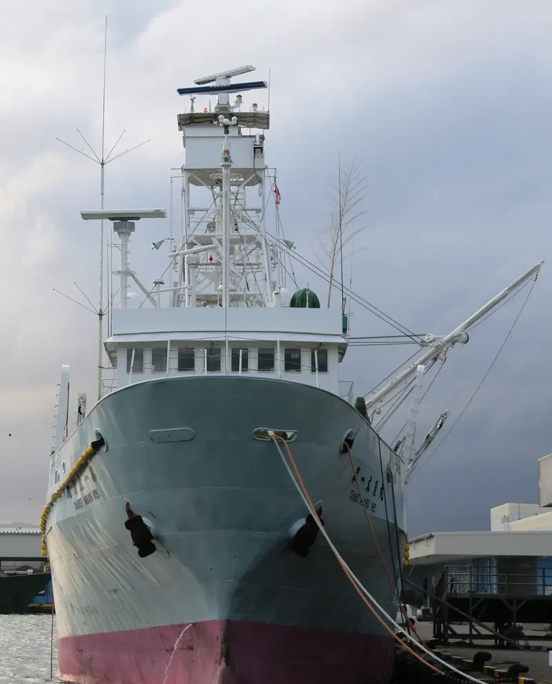 TAIKEI MARU NO.1 General Cargo IMO 9037953 photo 4
