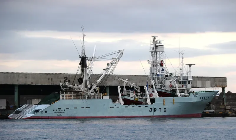 TAIKEI MARU NO.1 General Cargo IMO 9037953 photo 6