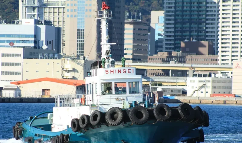 SHINSEI MARU General Cargo IMO 9038012 photo 6