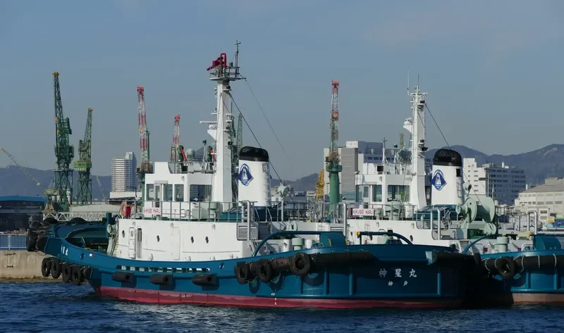 SHINSEI MARU General Cargo IMO 9038012 photo 9