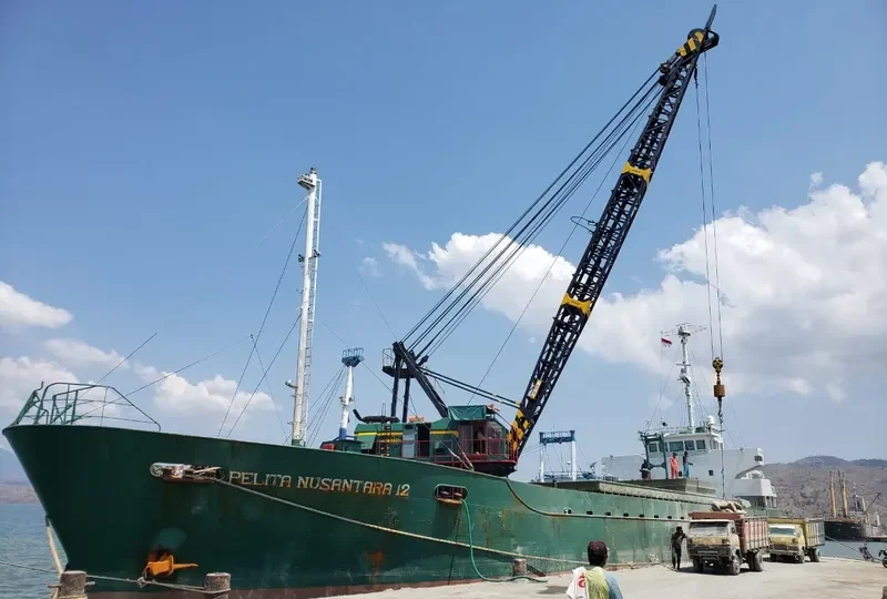 PELITA NUSANTARA 12 General Cargo IMO 9038098 photo 2