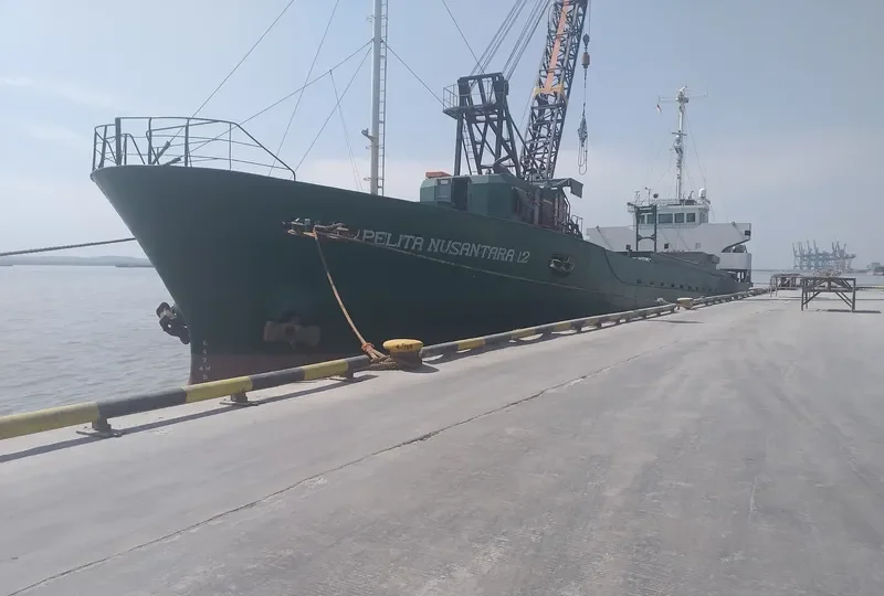 PELITA NUSANTARA 12 General Cargo IMO 9038098 photo 3