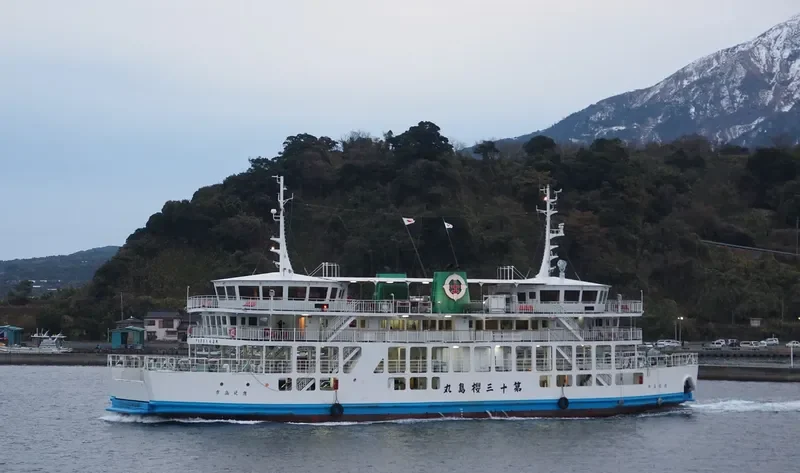 ROYAL SEAL 3 Ro-Ro IMO 9038218 photo 2