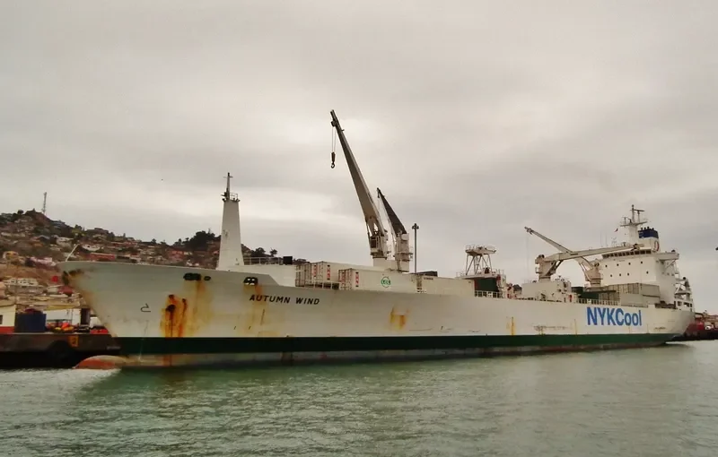 AUTUMN STREAM General Cargo IMO 9038323 photo 2