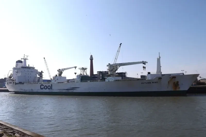 AUTUMN STREAM General Cargo IMO 9038323 photo 9