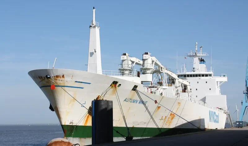 AUTUMN WAVE General Cargo IMO 9038335 photo 2