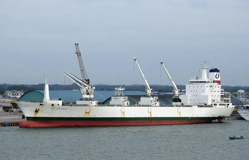 AUTUMN WAVE General Cargo IMO 9038335 photo 3