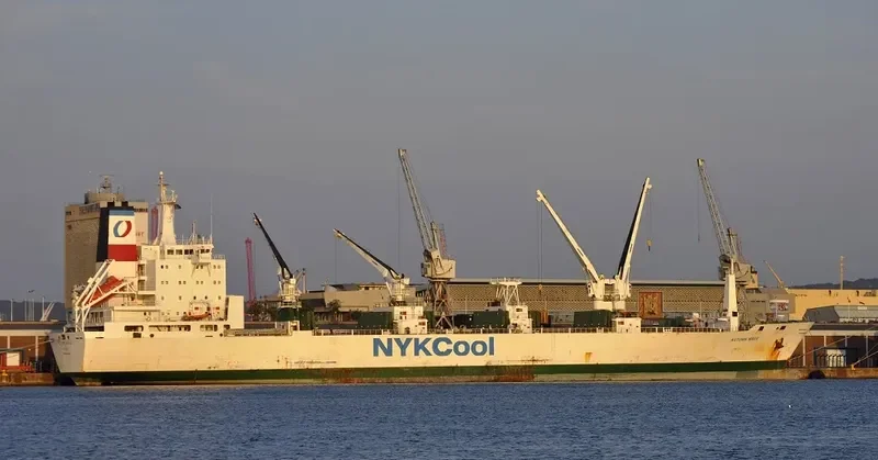 AUTUMN WAVE General Cargo IMO 9038335 photo 4