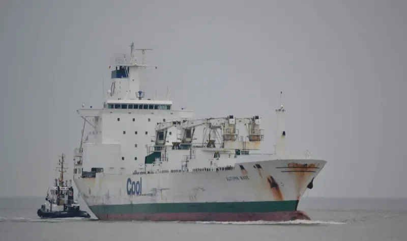 AUTUMN WAVE General Cargo IMO 9038335 photo 10