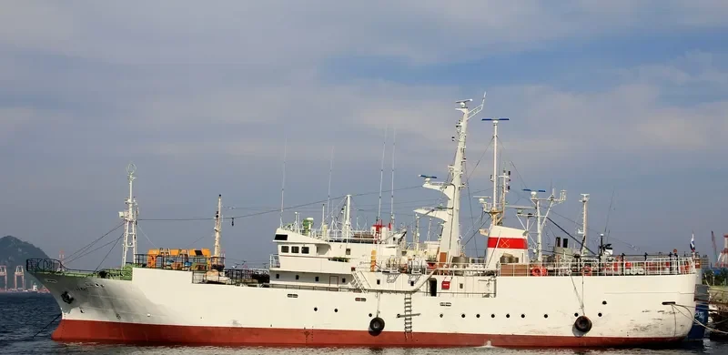DEMIS General Cargo IMO 9038464 photo 3