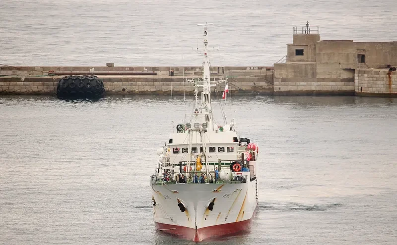 DEMIS General Cargo IMO 9038464 photo 7