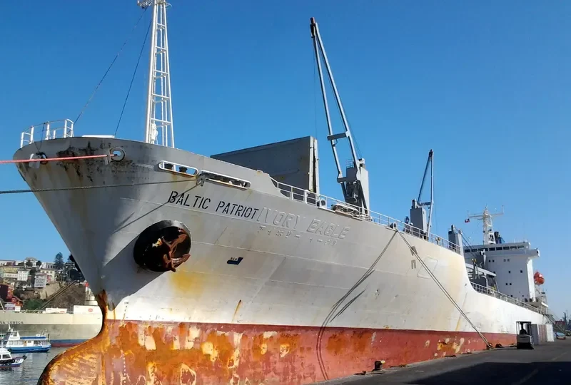BALTIC PATRIOT General Cargo IMO 9038488 photo 9