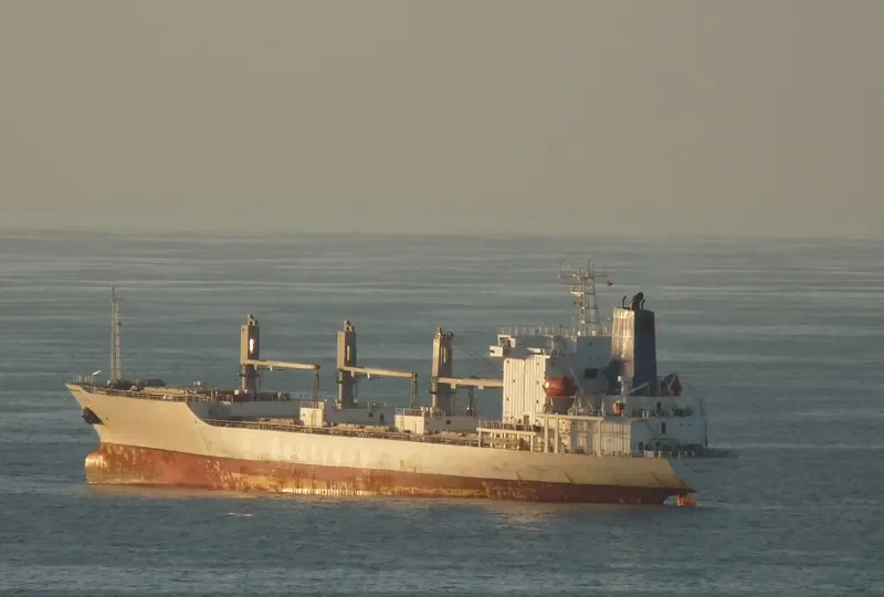 BALTIC PATRIOT General Cargo IMO 9038488 photo 10