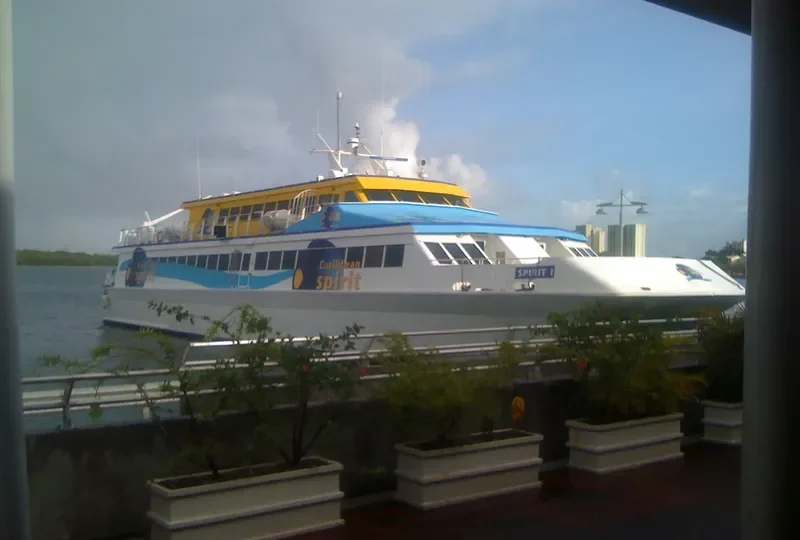 LOVELY I Passenger Ship IMO 9038555 photo 2