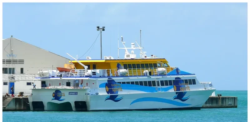 LOVELY I Passenger Ship IMO 9038555 photo 3