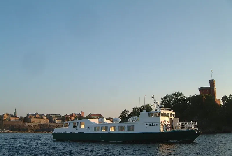 MADAM Passenger Ship IMO 9038581 photo 5