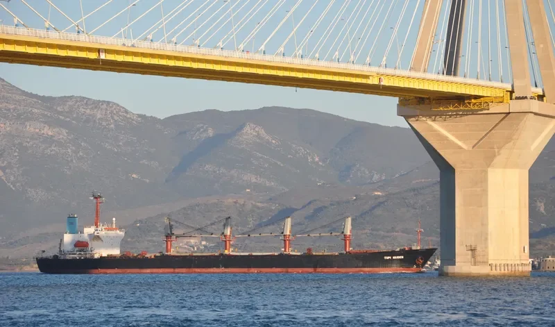 JENNY LUCKY Bulk Carrier IMO 9038701 photo 2