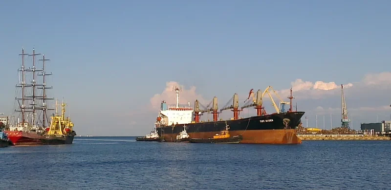 JENNY LUCKY Bulk Carrier IMO 9038701 photo 7