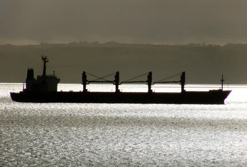 JENNY LUCKY Bulk Carrier IMO 9038701 photo 10
