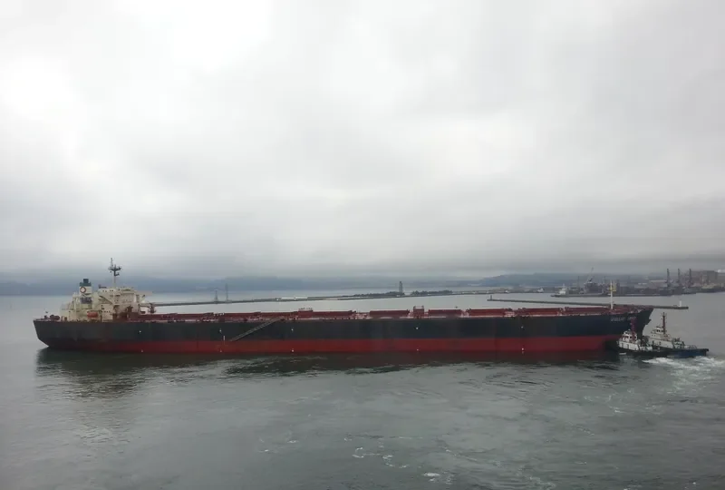 STELLAR DAISY Bulk Carrier IMO 9038725