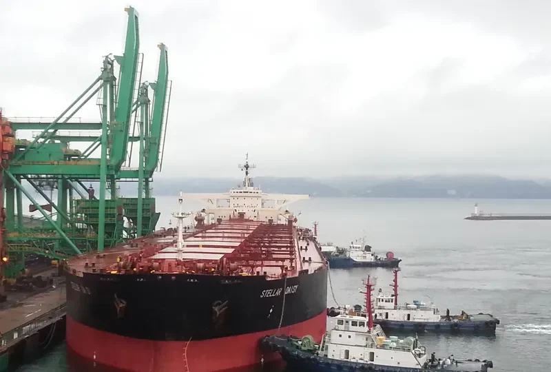 STELLAR DAISY Bulk Carrier IMO 9038725 photo 2