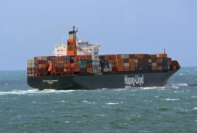 MSC ROBERTA Container Ship IMO 9038907