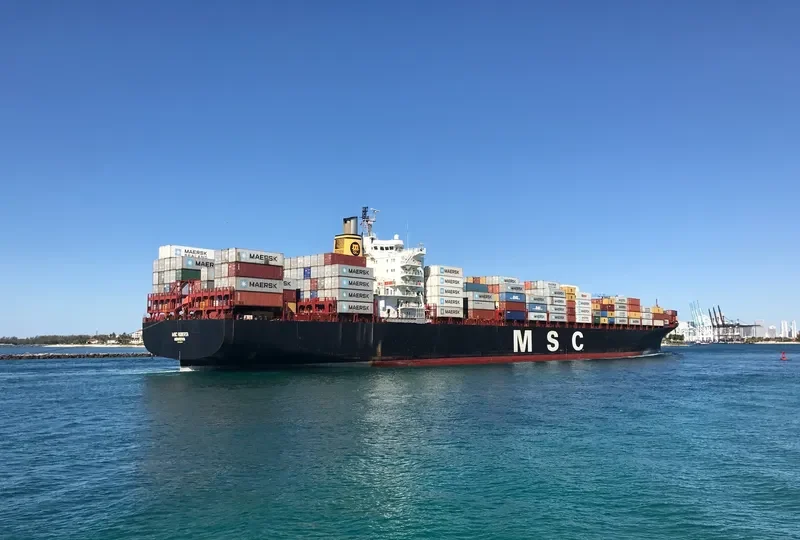 MSC ROBERTA Container Ship IMO 9038907 photo 4