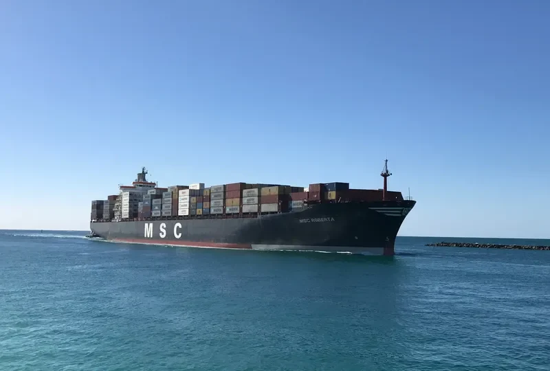 MSC ROBERTA Container Ship IMO 9038907 photo 5