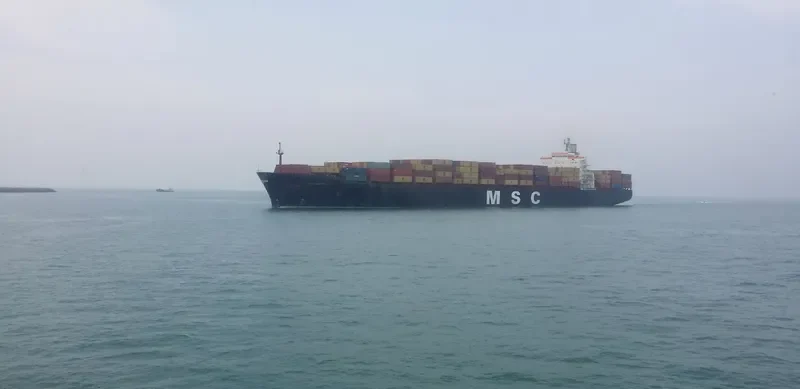 MSC ROBERTA Container Ship IMO 9038907 photo 6