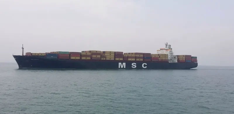 MSC ROBERTA Container Ship IMO 9038907 photo 7