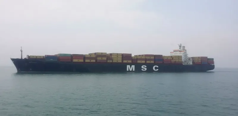 MSC ROBERTA Container Ship IMO 9038907 photo 8
