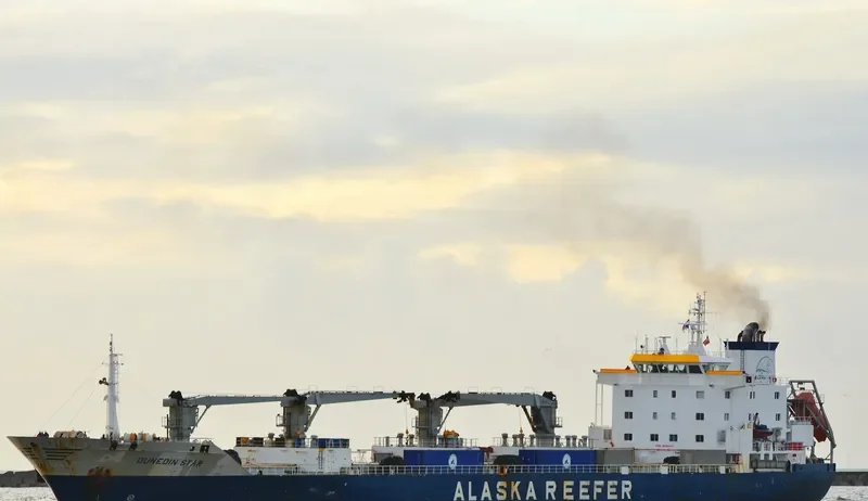 DUNEDIN STAR General Cargo IMO 9038945