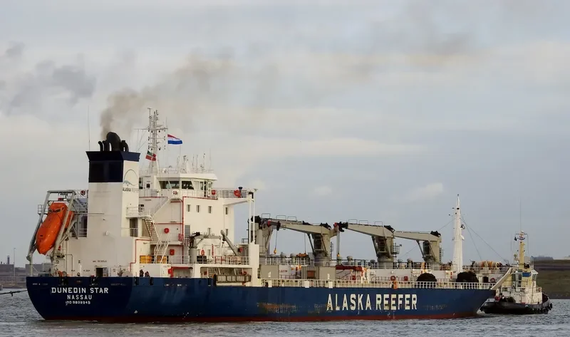 DUNEDIN STAR General Cargo IMO 9038945 photo 4